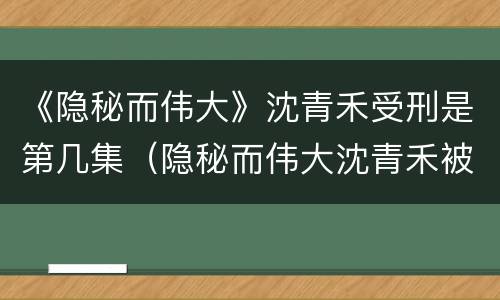 《隐秘而伟大》沈青禾受刑是第几集（隐秘而伟大沈青禾被用刑是第几集）
