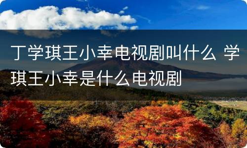 丁学琪王小幸电视剧叫什么 学琪王小幸是什么电视剧