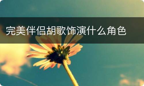 完美伴侣胡歌饰演什么角色