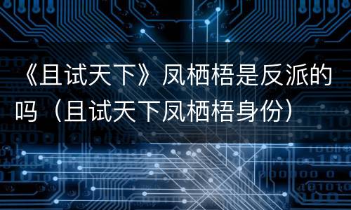 《且试天下》凤栖梧是反派的吗（且试天下凤栖梧身份）