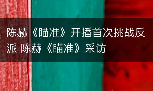 陈赫《瞄准》开播首次挑战反派 陈赫《瞄准》采访