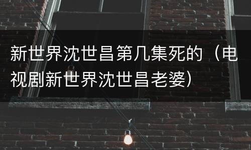 新世界沈世昌第几集死的（电视剧新世界沈世昌老婆）