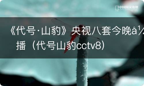 《代号·山豹》央视八套今晚开播（代号山豹cctv8）