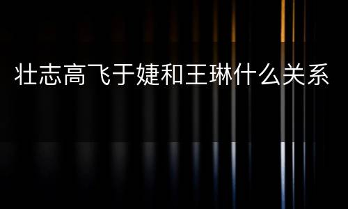 壮志高飞于婕和王琳什么关系