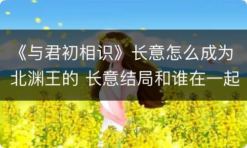 《与君初相识》长意怎么成为北渊王的 长意结局和谁在一起
