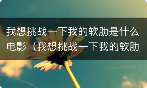 我想挑战一下我的软肋是什么电影（我想挑战一下我的软肋是什么电影啊）