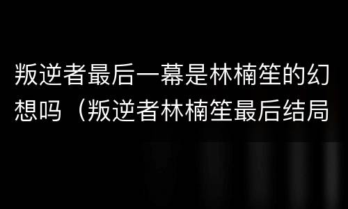 叛逆者最后一幕是林楠笙的幻想吗（叛逆者林楠笙最后结局）