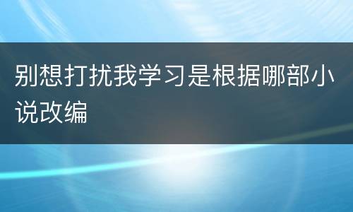 别想打扰我学习是根据哪部小说改编