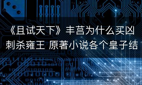 《且试天下》丰莒为什么买凶刺杀雍王 原著小说各个皇子结局如何
