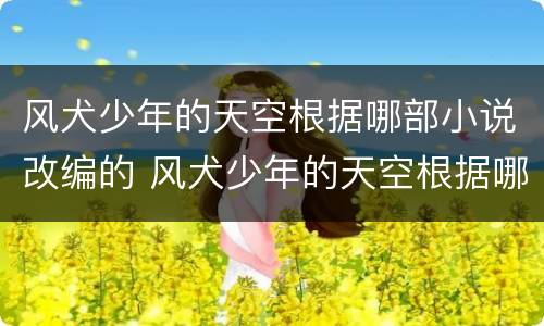 风犬少年的天空根据哪部小说改编的 风犬少年的天空根据哪部小说改编的好看