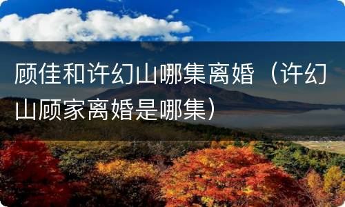 顾佳和许幻山哪集离婚（许幻山顾家离婚是哪集）