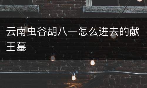 云南虫谷胡八一怎么进去的献王墓