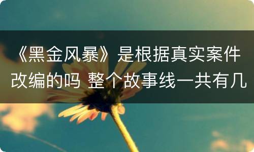 《黑金风暴》是根据真实案件改编的吗 整个故事线一共有几个单元