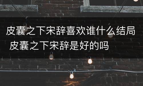皮囊之下宋辞喜欢谁什么结局 皮囊之下宋辞是好的吗