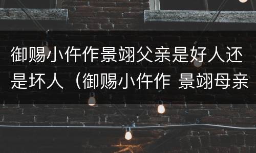 御赐小仵作景翊父亲是好人还是坏人（御赐小仵作 景翊母亲是坏人）
