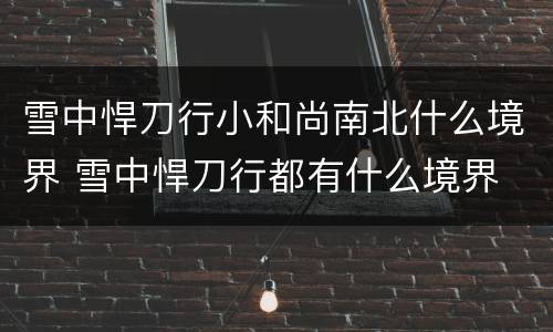 雪中悍刀行小和尚南北什么境界 雪中悍刀行都有什么境界