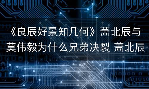 《良辰好景知几何》萧北辰与莫伟毅为什么兄弟决裂 萧北辰与莫伟毅结局如何
