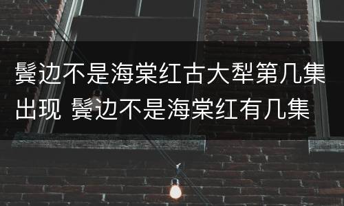 鬓边不是海棠红古大犁第几集出现 鬓边不是海棠红有几集