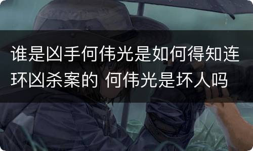 谁是凶手何伟光是如何得知连环凶杀案的 何伟光是坏人吗
