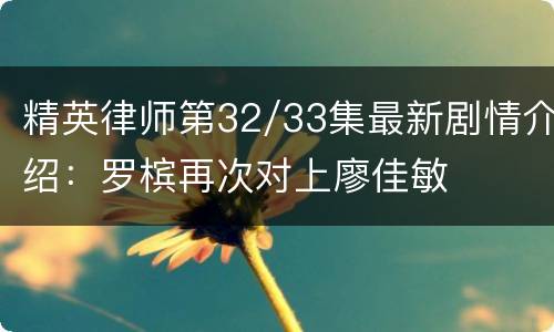 精英律师第32/33集最新剧情介绍：罗槟再次对上廖佳敏