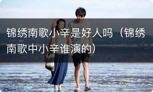 锦绣南歌小辛是好人吗（锦绣南歌中小辛谁演的）