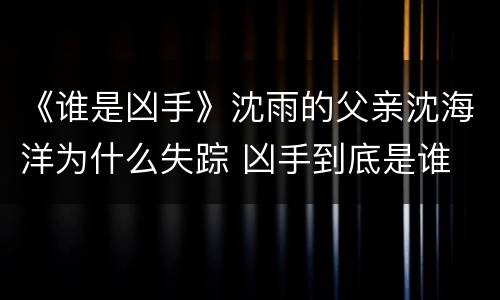 《谁是凶手》沈雨的父亲沈海洋为什么失踪 凶手到底是谁