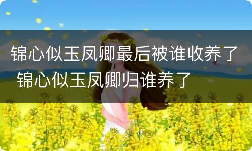 锦心似玉凤卿最后被谁收养了 锦心似玉凤卿归谁养了