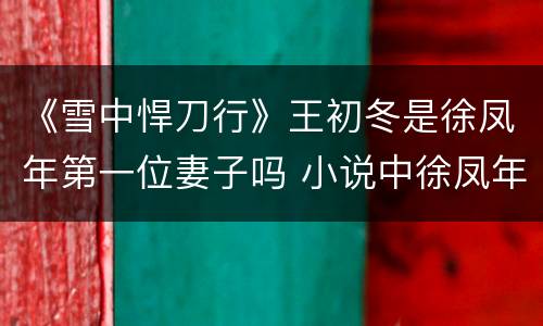 《雪中悍刀行》王初冬是徐凤年第一位妻子吗 小说中徐凤年先娶了谁