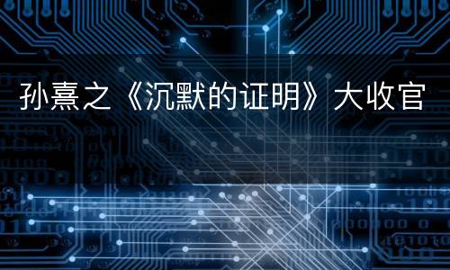 孙熹之《沉默的证明》大收官