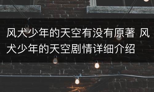 风犬少年的天空有没有原著 风犬少年的天空剧情详细介绍