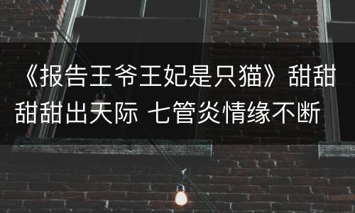《报告王爷王妃是只猫》甜甜甜甜出天际 七管炎情缘不断