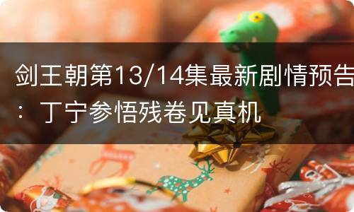 剑王朝第13/14集最新剧情预告：丁宁参悟残卷见真机