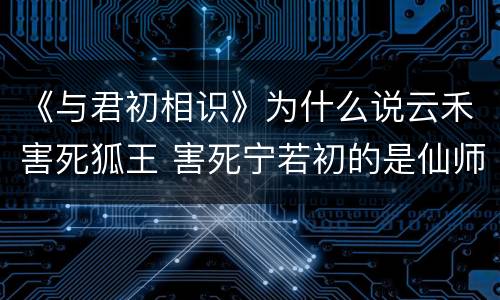 《与君初相识》为什么说云禾害死狐王 害死宁若初的是仙师吗