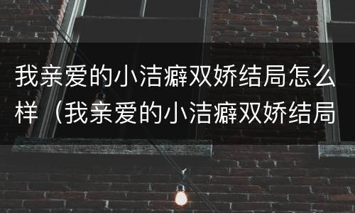 我亲爱的小洁癖双娇结局怎么样（我亲爱的小洁癖双娇结局怎么样了）
