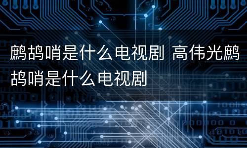 鹧鸪哨是什么电视剧 高伟光鹧鸪哨是什么电视剧
