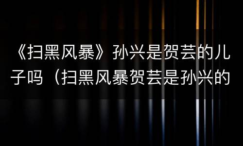 《扫黑风暴》孙兴是贺芸的儿子吗（扫黑风暴贺芸是孙兴的母亲吗）