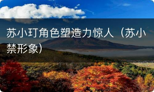 苏小玎角色塑造力惊人（苏小禁形象）