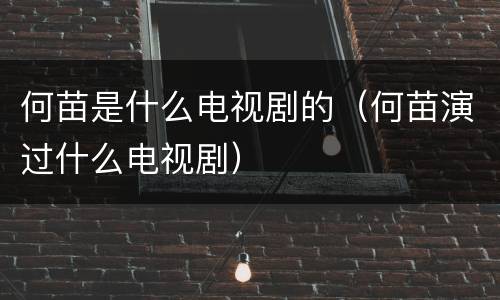 何苗是什么电视剧的（何苗演过什么电视剧）