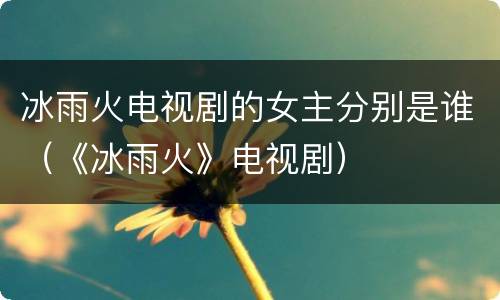 冰雨火电视剧的女主分别是谁（《冰雨火》电视剧）