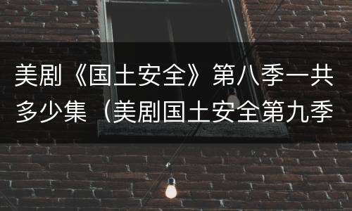 美剧《国土安全》第八季一共多少集（美剧国土安全第九季）