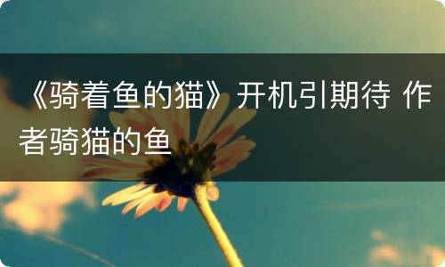《骑着鱼的猫》开机引期待 作者骑猫的鱼