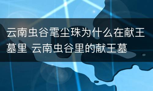云南虫谷雮尘珠为什么在献王墓里 云南虫谷里的献王墓