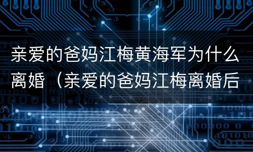 亲爱的爸妈江梅黄海军为什么离婚（亲爱的爸妈江梅离婚后）