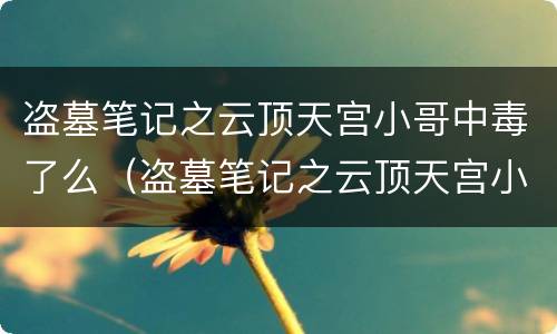 盗墓笔记之云顶天宫小哥中毒了么（盗墓笔记之云顶天宫小哥中毒了么）