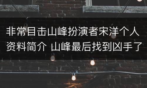 非常目击山峰扮演者宋洋个人资料简介 山峰最后找到凶手了吗
