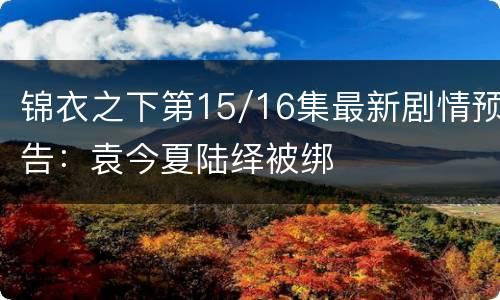 锦衣之下第15/16集最新剧情预告：袁今夏陆绎被绑