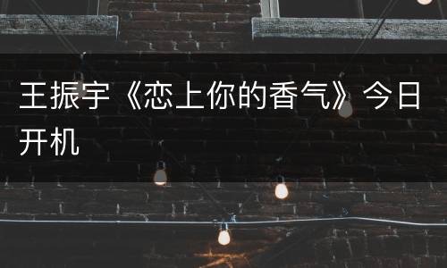 王振宇《恋上你的香气》今日开机
