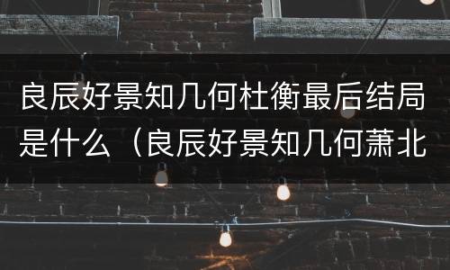 良辰好景知几何杜衡最后结局是什么（良辰好景知几何萧北辰结局）