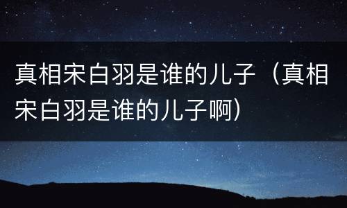 真相宋白羽是谁的儿子（真相宋白羽是谁的儿子啊）