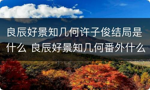 良辰好景知几何许子俊结局是什么 良辰好景知几何番外什么意思